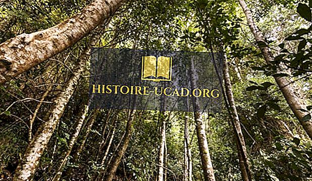 النقاط الخمسة للتنوع البيولوجي في أمريكا الجنوبية Histoire Ucad Org
