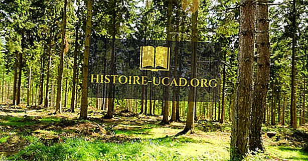 المناطق البيئية في المملكة المتحدة Histoire Ucad Org