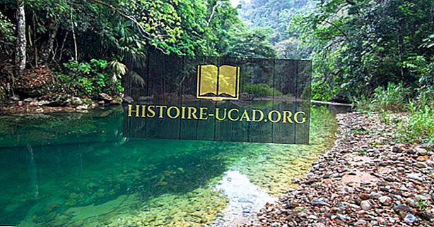 المناطق البيئية في بليز Histoire Ucad Org